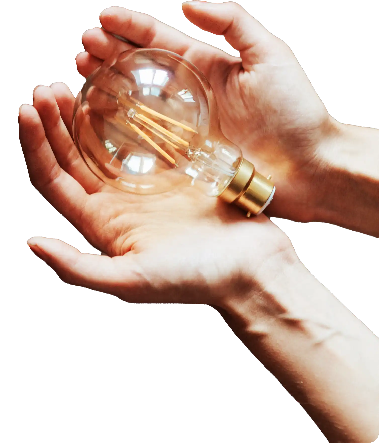 bulb image